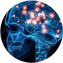 Successful Entrepreneurship